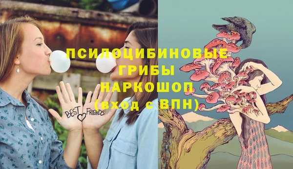 ПСИЛОЦИБИНОВЫЕ ГРИБЫ Остров