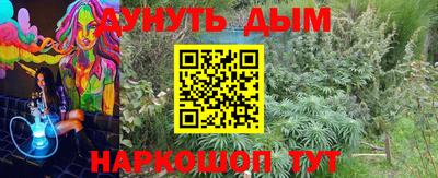 крисы Донецк