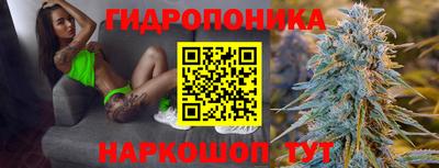 крисы Донецк