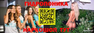 крисы Донецк