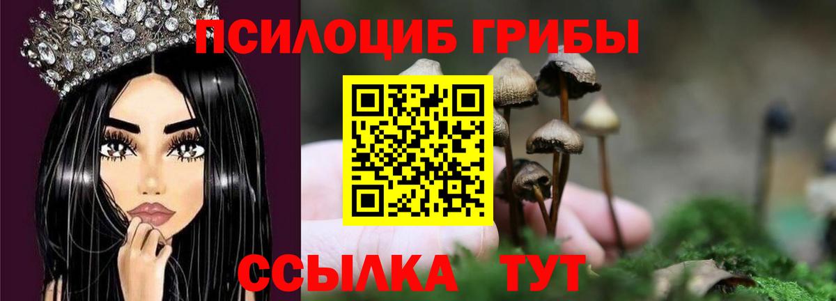 Ижевск  Галлюциногенные грибы Psilocybe  Вход с VPN 